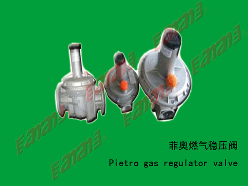 菲奥燃气稳压阀